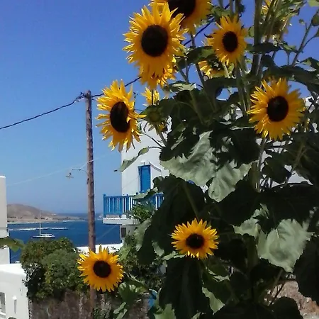 Athina's Blue 公寓 *