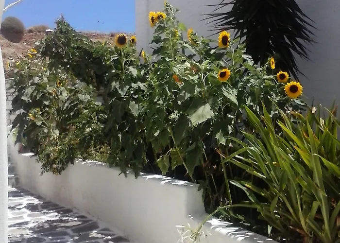 Athina's Blue Naousa