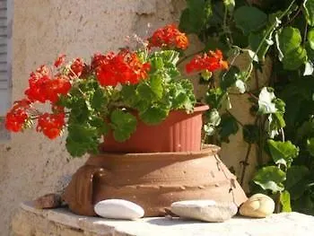 Athina's Blue Naousa